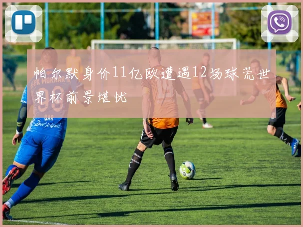 帕尔默身价11亿欧遭遇12场球荒世界杯前景堪忧