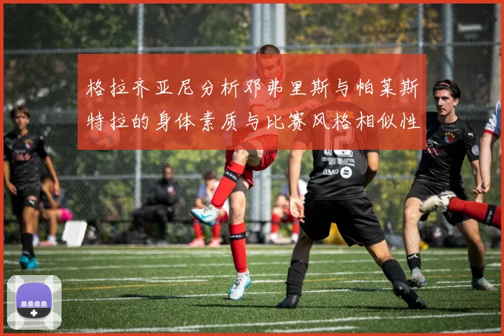 格拉齐亚尼分析邓弗里斯与帕莱斯特拉的身体素质与比赛风格相似性
